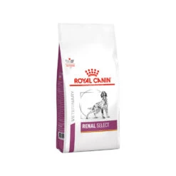 Royal Canin Renal Select Hond -Huisdierbenodigdheden 038606da4ed6ef2072a72c2257a9ca8859d3f8f24ee27f6293f60d368c9cbe67 4