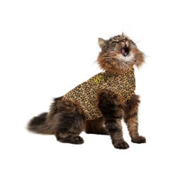 Medical Pet Shirt Kat Luipaard Print 13 Medical Pet Shirt Kat Luipaard Print -Huisdierbenodigdheden 25dda8affeb3ea5d3aea6c6d840a6ed3d43851b35010ff44f53c8482821c4cb0 4