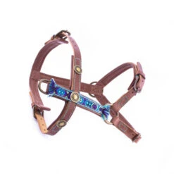 DWAM Hondentuigje Boho Juan -Huisdierbenodigdheden 3df6bea085ac89cbb0243cafc5e51257d293169e03f221ee5c780080e2ff8a36 3