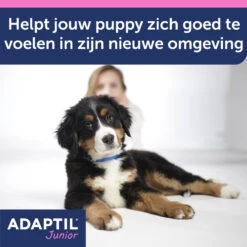 Adaptil Halsband - Junior -Huisdierbenodigdheden 3gIEoBqQiP1u6QnSYa9iRNNOP2PfnQ metaQWRhcHRpbC1KdW5pb3ItY29sbGFyLUNhcm91c3NlbC0yLmpwZw