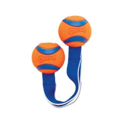 Chuckit! Ultra Duo Tug 11 Chuckit! Ultra Duo Tug -Huisdierbenodigdheden 4436fdd036cf9b361e71d2fde5a5701e789a8d73fcc7bd1365eeb45fc679edd1 4