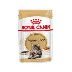 Royal Canin Maine Coon Adult Wet - Kattenvoer -Huisdierbenodigdheden 4897b2da9aa44f6252042cddf2979d0153e395bbf7e7260c5c9bc97f7ea715e6 3 5
