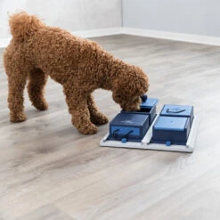 Trixie Dog Activity Poker Box 5 Trixie Dog Activity Poker Box -Huisdierbenodigdheden 4GNYmJCarjjHju4owvcW13MD7XvhnS metaVHJpeGllLURvZy1BY3Rpdml0eS1Qb2tlci1Cb3gtMi5qcGc