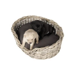 51 Degrees North Rattan Basket 20 51 Degrees North Rattan Basket -Huisdierbenodigdheden 51 degrees north rattan basket 209954 1000 none