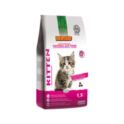 Biofood BF®Petfood Kitten -Huisdierbenodigdheden 596d4420030520f8658f6bbefe80f7504c33efb2866bfb6b591b09eed75040ec 4
