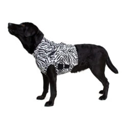 Medical Pet Top Shirt - Zebraprint 13 Medical Pet Top Shirt - Zebraprint -Huisdierbenodigdheden 66d9a6355b1f7009e7a9c11e84c02dd14e554ff702966a3f17951206721a6300 3