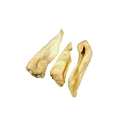 Competition Geitenoren Adult -Huisdierbenodigdheden 739152c17d3f9a966001e738d8accc97158ed8f8e8828c83c2652bad537110c2 3 5