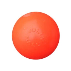 Jolly Bounce-n-Play -Huisdierbenodigdheden 808996a2beb99e6a71c3dfb3f5e26cc7f07d87eee79b4d7953e71120bea95ca3 5