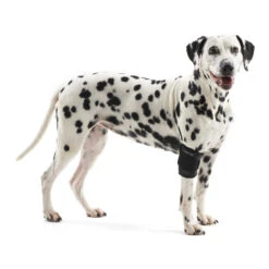 Huisdierbenodigdheden 19 Kruuse Rehab Elleboogbeschermer