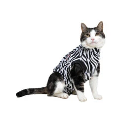Medical Pet Shirt Kat Zebra -Huisdierbenodigdheden 94888d606ca2a555a50033dd4fe80ece5e64b2b3689ba436a5b7ee74a4f74059 4