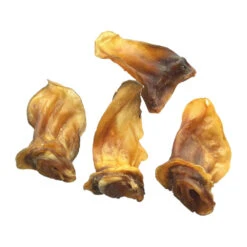 Competition Lamsoren -Huisdierbenodigdheden 9e00fa3262543de300fb81223c22f84bbde6d76426afdde6722ca519dbcedfb8 3 5