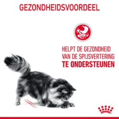 Royal Canin Digestive Care In Gravy - Kattenvoer 18 Royal Canin Digestive Care In Gravy - Kattenvoer -Huisdierbenodigdheden ArELC5MRoxiyJSCYOslvuIRNg5AVhp metaUm95YWwtQ2FuaW4tRGlnZXN0aXZlLUNhcmVfMDEuanBn
