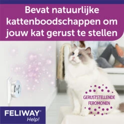 Feliway Help! -Huisdierbenodigdheden Cn7Q3QiUqYkRHjY6Boh7Ai6HXU67UI metaRmVsaXdheS1IZWxwLUNhcm91c3NlbC01LmpwZw