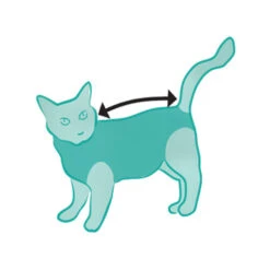 Suitical Recovery Suit Kat -Huisdierbenodigdheden DyRL8fhSRm4Wf5AgwbiqB50D0Rd4rc metac3VpdGljYWxfcmVjb3Zlcnlfc3VpdF9rYXRfMjAyNTIzXzA1MDBfbm9uZS5qcGc