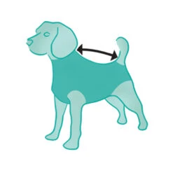 Suitical Recovery Suit Hond - Camouflage 17 Suitical Recovery Suit Hond - Camouflage -Huisdierbenodigdheden ILtF02kyXAnbRr88QvQ12b6rufTPVq metacHJvZHVjdF9yZWNvdmVyeV9zdWl0X2hvbmRfbWVkcGV0c180XzE0MTQ1NjgzNTZfOTA2OS5qcGc