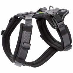 Hunter Harness Maldon 36 Hunter Harness Maldon -Huisdierbenodigdheden KvSEJqDlkx92aRWN8RM8dwmfyTBij6 metaaHVudGVyLXNhZmV0eS1oYXJuZXNzLW1hbGRvbi02LXBuZy5wbmc