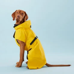 PAIKKA Visibility Raincoat Lite Yellow 9 PAIKKA Visibility Raincoat Lite Yellow -Huisdierbenodigdheden PClMHEr7OU9sOGs5uS5yRaglBqAzmp metaUGFpa2thLVZpc2liaWxpdHktUmFpbmNvYXQtTGl0ZS1ZZWxsb3czLmpwZw