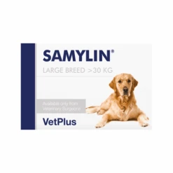 Vetplus Samylin - Tabletten -Huisdierbenodigdheden TMpWTAiSQVnLBFciegVunVUDv8tzTF metadmV0cGx1c19zYW15bGluXzIwNDUxOF8wNTAwX25vbmUucG5n