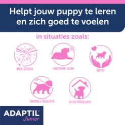 Adaptil Halsband - Junior -Huisdierbenodigdheden YeyWyxAVyMKjZHUQgZDeUtx9UISUUd metaQWRhcHRpbC1KdW5pb3ItY29sbGFyLUNhcm91c3NlbC0zLmpwZw
