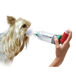 AeroDawg Inhalatiesysteem -Huisdierbenodigdheden aerodawg inhalatiesysteem 134986 2000 none