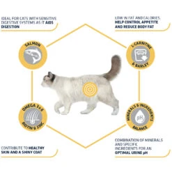 Affinity Advance Sterilized Salmon Sensitive - Kat 17 Affinity Advance Sterilized Salmon Sensitive - Kat -Huisdierbenodigdheden affinity advance sterilized salmon sensitive kat 178282 1500 none