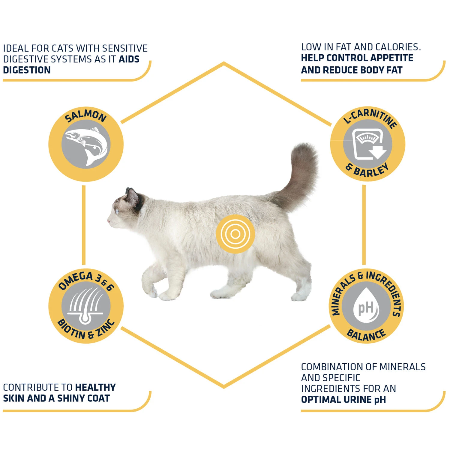 Affinity Advance Sterilized Salmon Sensitive - Kat 6 Affinity Advance Sterilized Salmon Sensitive - Kat - Afbeelding 6