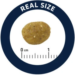 Affinity Advance Veterinary Diets Gastroenteric Sensitive Kat -Huisdierbenodigdheden affinity advance veterinary diets gastroenteric sensitive kat 178051 0500 none