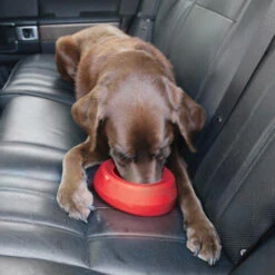 Kurgo Splash Free Wander Water Bowl -Huisdierbenodigdheden altranet splash free wander water bowl 222778 0500 none