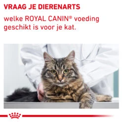 Royal Canin VCN - Mature Consult Balance - Cat - Maaltijdzakje -Huisdierbenodigdheden auqYuMrpG2AEQj9IgtKtDMGtV3YXT4 metaTUFUVVJFLUNPTlNVTFQtQkFMQU5DRS04LmpwZw