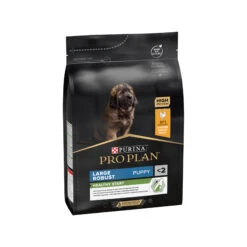 Purina Pro Plan Dog Puppy - Large Breed -Huisdierbenodigdheden awBxDSSbRsIDmb0OdL7r3ZjejoZVi9 metaUHVyaW5hLVByby1QbGFuLUxhcmdlLUJyZWVkLVJvYnVzdC5qcGc
