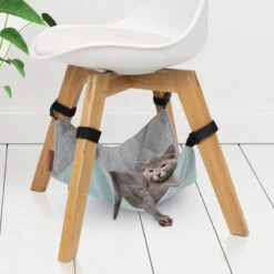 Beeztees Hangmat Loungy 5 Beeztees Hangmat Loungy -Huisdierbenodigdheden beeztees hangmat loungy 122060 2000 none