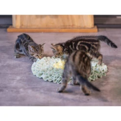 Beeztees Kitten Snuffelmat Flowie -Huisdierbenodigdheden beeztees kitten snuffelmat flowie 216526 2000 none