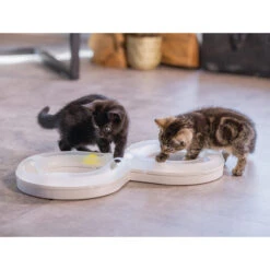 Beeztees Kitten Speelrail Agty -Huisdierbenodigdheden beeztees speelrail agty 216522 2000 none