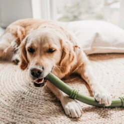 Beeztees Sumo Fit Stick -Huisdierbenodigdheden beeztees sumo fit stick 178435 1000 none