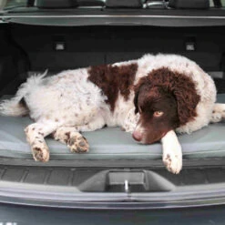 Bia Original Matras Zwart -Huisdierbenodigdheden bia original matras zwart 164062 0500 none