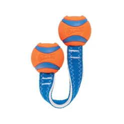 Chuckit! Ultra Duo Tug 9 Chuckit! Ultra Duo Tug -Huisdierbenodigdheden chuckit ultra duo tug 122954 0500 none