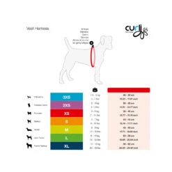 Curli Vest Harness Merino -Huisdierbenodigdheden curli vest harness merino black 175267 2000 none