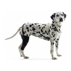 Kruuse Rehab Kniebeschermer -Huisdierbenodigdheden dd2130934b35463f36995725dd4bd49eef4a90381655458f445797430c7ae19c 3