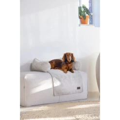 Designed By Lotte Bankkussen Ribbed -Huisdierbenodigdheden designed by lotte bankkussen ribbed 222738 2000 none