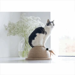 Designed By Lotte Halve Krabbol Vivi 7 Designed By Lotte Halve Krabbol Vivi -Huisdierbenodigdheden designed by lotte halve krabbol vivi 221562 1500 none