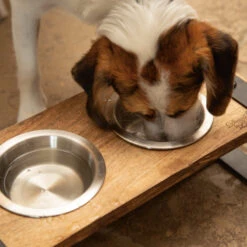 Designed By Lotte Houten Dinerset Karinto -Huisdierbenodigdheden designed by lotte houten dinerset karinto 164311 2000 none