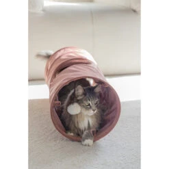 Designed By Lotte Kattentunnel Cylla -Huisdierbenodigdheden designed by lotte kattentunnel cylla 222725 2000 none