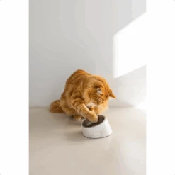 Designed By Lotte Kattenvoerbak Vita -Huisdierbenodigdheden designed by lotte kattenvoerbak vita 221521 1500 none