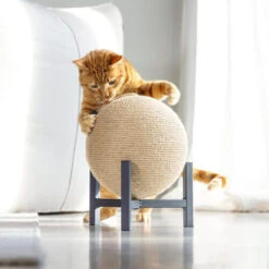 Designed By Lotte Krabbol Tyra -Huisdierbenodigdheden designed by lotte krabbol tyra 222831 0500 none