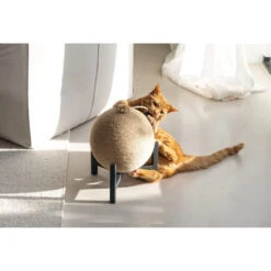 Designed By Lotte Krabbol Tyra -Huisdierbenodigdheden designed by lotte krabbol tyra 222832 0500 none