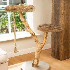 Designed By Lotte Krabmeubel Elora -Huisdierbenodigdheden designed by lotte krabmeubel elora 170014 2000 none