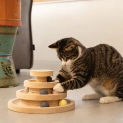 Designed By Lotte Speeltoren Mia -Huisdierbenodigdheden designed by lotte speeltoren mia 193652 1000 none