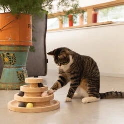 Designed By Lotte Speeltoren Mia -Huisdierbenodigdheden designed by lotte speeltoren mia 193658 1000 none