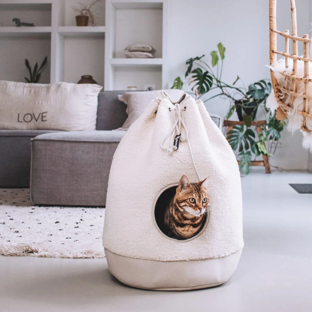 District 70 - Casa Teddy Kattenhuisje 4 District 70 - Casa Teddy Kattenhuisje - Afbeelding 4