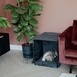 District 70 Crate Bench Hoes -Huisdierbenodigdheden district 70 crate cover 191152 0500 none